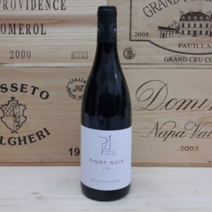 Achs Paul, Pinot Noir 2009, 0,75 l